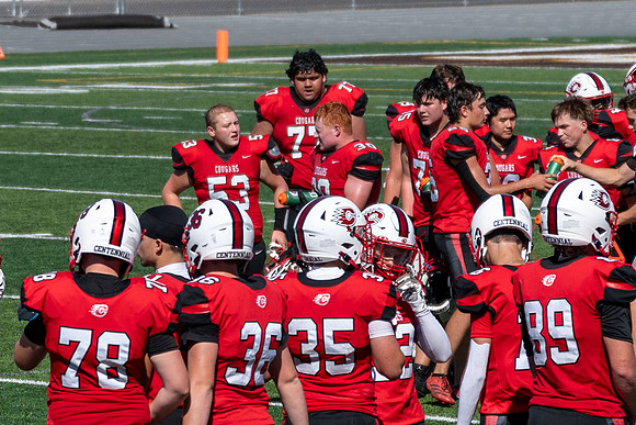 Dayvin #53