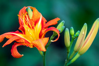 DSC_8354-Edit