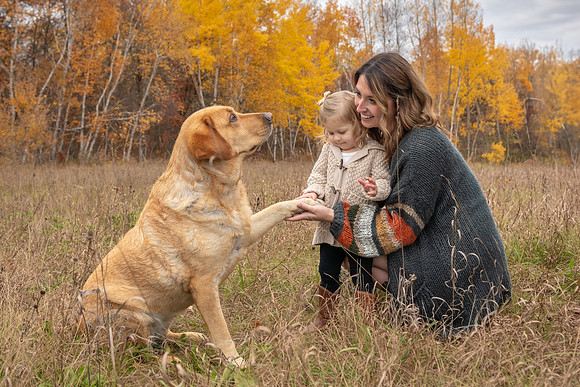 Family pet - Fall photography session in Emily, Minnesota