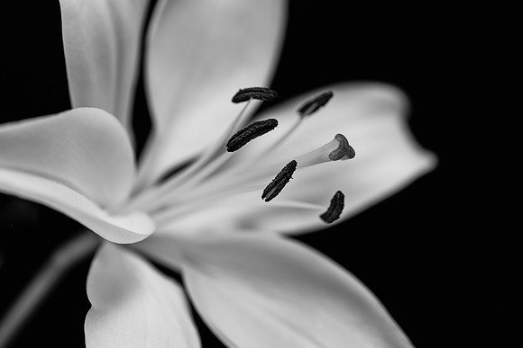 DSC_0525-Edit-Edit-3