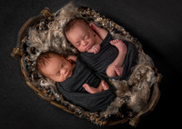 Pearson Twins