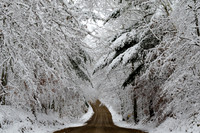 N Eagle Lake Road - Fifty Lakes, MN