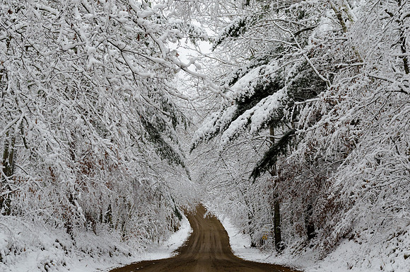 N Eagle Lake Road - Fifty Lakes, MN