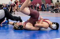 DSC_0105 - Joe Robin