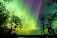 Northern Lights - Fifty Lakes, MN
