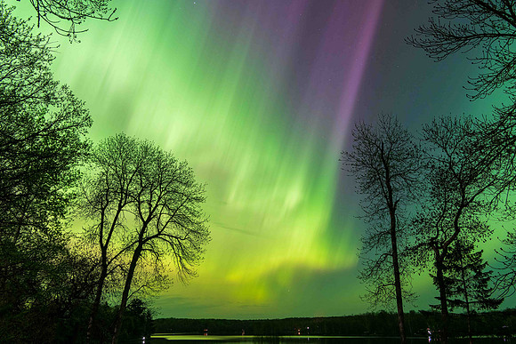 Northern Lights - Fifty Lakes, MN